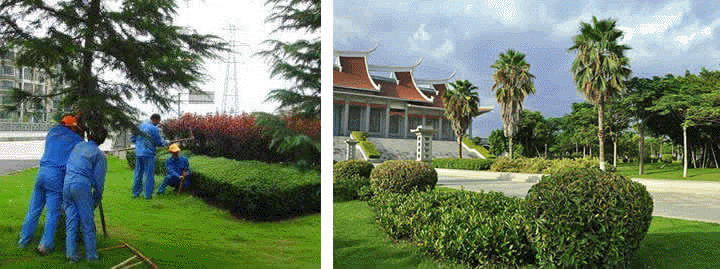 園林綠（lǜ）化工程